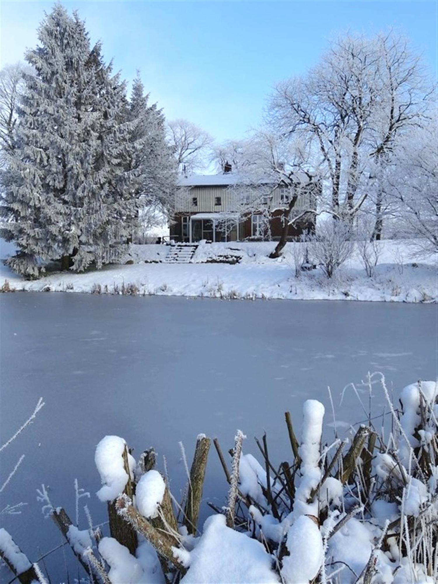 Ferienhaus Naturlich Wassermuhle Kappeln Ngoại thất bức ảnh