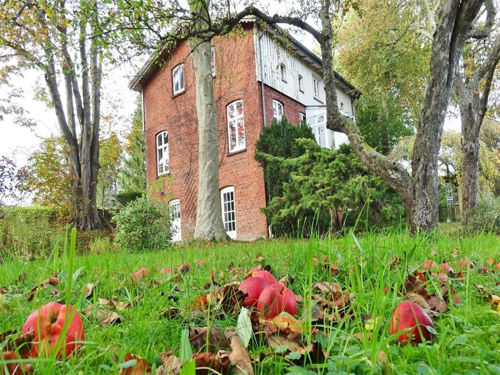 Ferienhaus Naturlich Wassermuhle Kappeln Ngoại thất bức ảnh