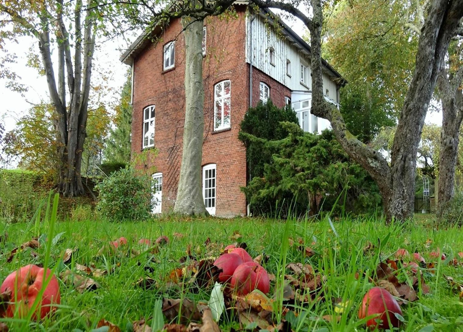 Ferienhaus Naturlich Wassermuhle Kappeln Ngoại thất bức ảnh
